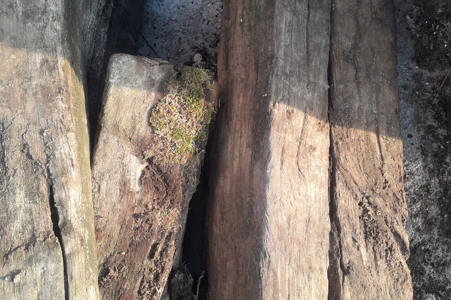 Sammlung von Altstoffen Holz gefährlich